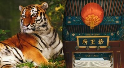 Китайський гороскоп на завтра, 22 березня: Тиграм — зриви, Щурам — пристрасть