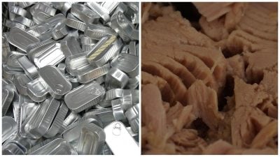 Відкрита банка лосося з 50-річною "прострочкою" вразила вчених: що було усередині