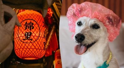 Китайський гороскоп на завтра, 23 березня: Собакам — маніпуляції, Свиням — ревнощі