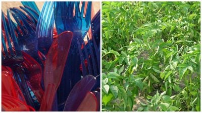 вилка, город