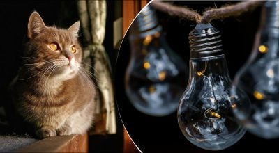 Обмежень майже не буде: графік вимкнення світла 23 березня в Сумах