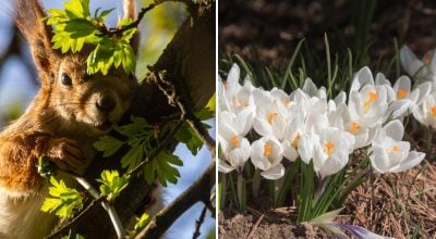 На Житомирщину увірветься рекордне тепло: коли прогріє до +20 градусів