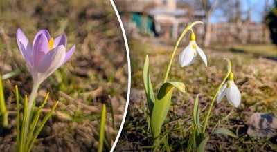 Яка погода буде в Харкові найближчими днями