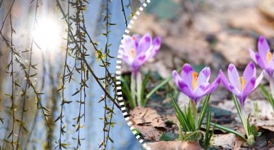 Житомирщину прогріє до +16: синоптики назвали дату різкого потепління