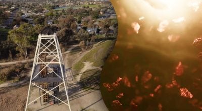 Знайдено найбільше у світі родовище золота — де будуть добувати та скільки його там