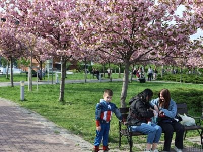 Буде майже +20 градусів: на Тернопільщині очікується справжнє потепління