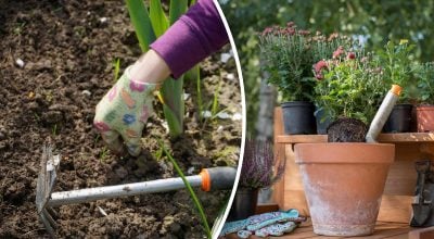 Сад в марте: 4 крайне важных дела, которые нужно успеть сделать до конца месяца