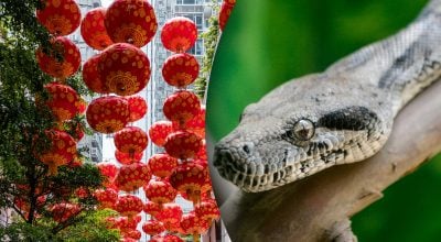 Китайський гороскоп на завтра