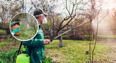 Обприскування дерев навесні