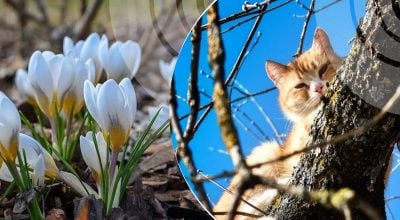 Рівненщину різко пригріє, але є нюанс: синоптики попереджають про зміну погоди