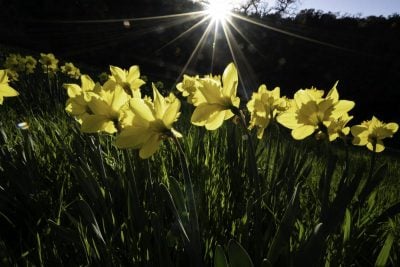 Тепло з Балкан йде на Львівщину: коли потеплішає до +17