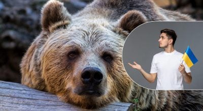 Як правильно українською – ведмідь чи медвідь: відповідь здивує багатьох