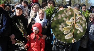 Чому на Вербну неділю святять вербу: секрет традиції, який знають не всі