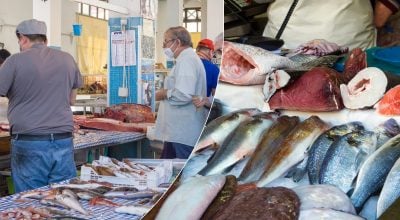 Її їли мільйони, а тепер не знайти: яка риба зникла після розпаду СРСР