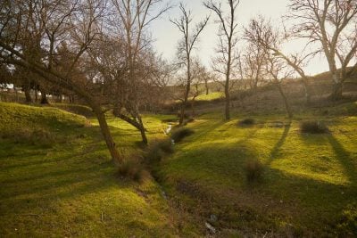 Буде майже +20: Україну накриває нова хвиля потепління