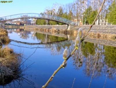 На Рівненщині зіпсується погода: синоптики здивували прогнозом