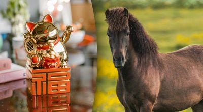 Китайський гороскоп на завтра