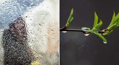 На Житомирщину насувається різке похолодання з дощами: коли очікувати негоду