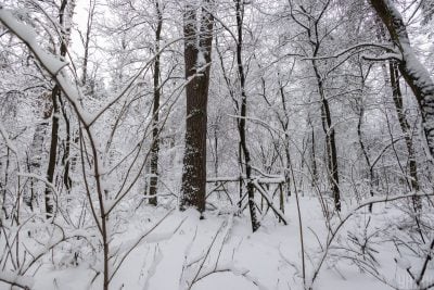 Влупить -2 та піде сніг: в Україні погіршиться погода