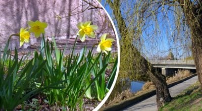 На Рівненщині дощитиме: що приготувала погода на останні дні березня