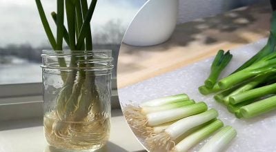 Купувати більше не треба: як виростити зелену цибулю у склянці за кілька днів