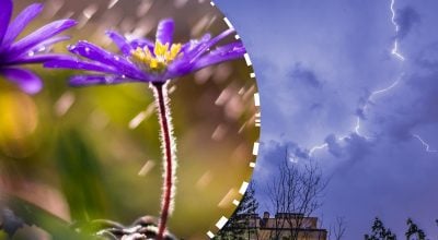 Погода на Житомирщині різко зміниться після дощів: коли чекати потепління