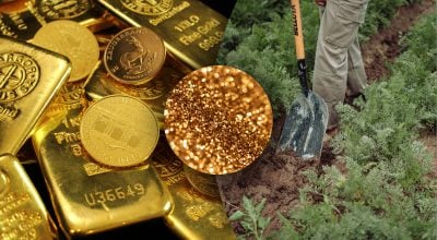 Робітники копали землю і знайшли 1300-річну скарбницю з золотом - перші деталі