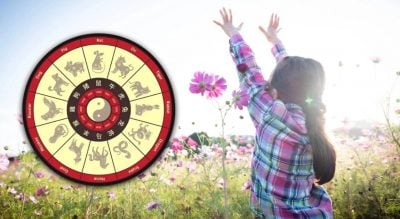 Лише три китайські знаки зодіаку незабаром отримають приємний сюрприз Лише три китайські знаки зодіаку незабаром отримають приємний сюрприз