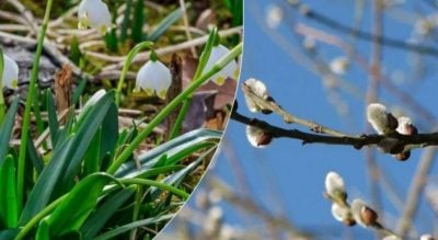 "Прекрасний принц Квітень": День сміху стартує з тепла і дощів