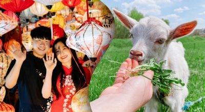 Китайский гороскоп на завтра, 1 апреля: Козлам - удовольствия, Свиньям - карьера