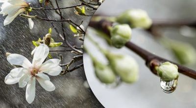 Південний циклон різко погіршить погоду на Житомирщині: коли він відступить Південний циклон різко погіршить погоду на Житомирщині: коли він відступить