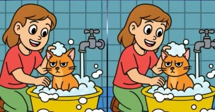 Тест на IQ: потрібно знайти 3 відмінності на зображенні дівчинки з котом за 33 с