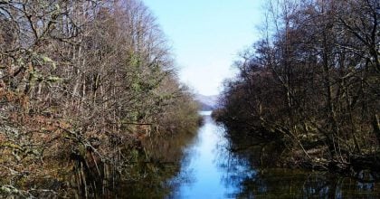 Мороз ще не здається: на Тернопільщині очікуються температурні гойдалки
