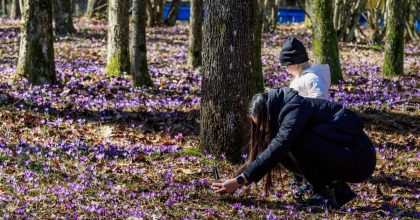Майже літнє тепло заскочить на Львівщину: коли потеплішає до +18