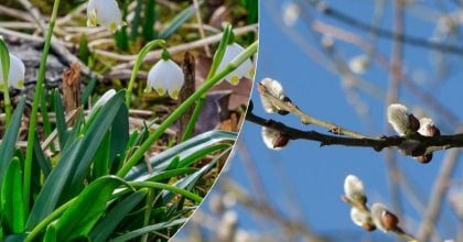 На Житомирщині відчутно похолоднішає: стало відомо, на скільки впаде температура