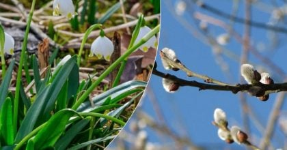 "Очікується зниження температури": синоптик назвала точну дату похолодання в Україні