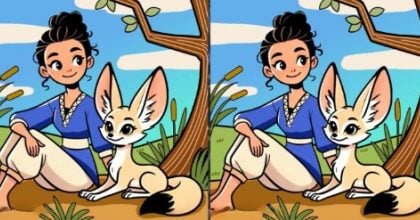 Тест на IQ: потрібно знайти 3 відмінності на зображенні дівчинки з лисицею за 23 с