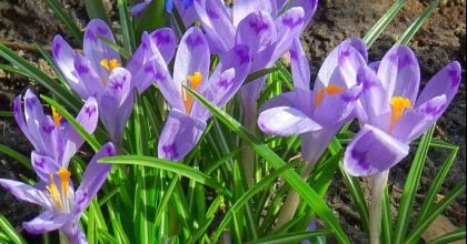 На Рівненщині різко зміниться погода: прогноз на 15 березня