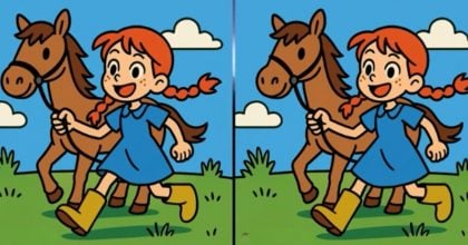 Тест на IQ: нужно найти 3 отличия на картинке девочки с лошадью за 39 с