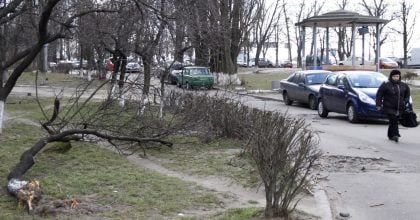 Температура впаде: сильний вітер принесе на Тернопільщину похолодання