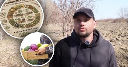 Сівозміна культур на городі: як відновити структуру ґрунту за один цикл