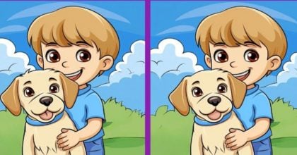 Тест на IQ: нужно найти 3 отличия на картинке мальчика с собакой за 49 с