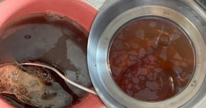 Чому на чаї з’являється "нафтова" плівка і чи безпечно пити напій з нею