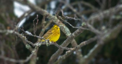Полтавщину накриває похолодання: синоптики попередили про зміну температури