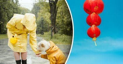 Китайський гороскоп на завтра, 19 березня: Тиграм — стрес, Козлам — позитив