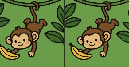 Тест на IQ: потрібно знайти 3 відмінності на зображенні мавпи на дереві за 23 с