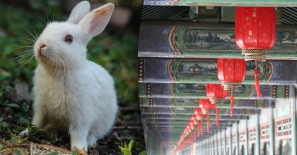 Китайский гороскоп на сегодня, 20 марта: Быкам - конфликты, Кроликам - лишения