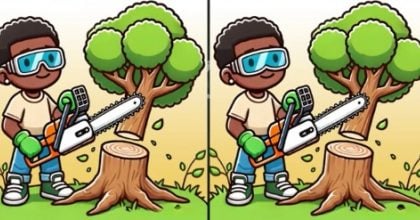 Тест на IQ: нужно найти 3 отличия на картинке дровосека за 21 с