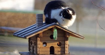 У Полтавську область вривається нова хвиля потепління: коли зміниться погода