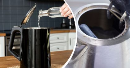 Накип відпаде за лічені хвилини: що треба залити в чайник замість оцту